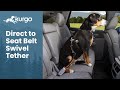 Kurgo Direct to Seatbelt Swivel Tether