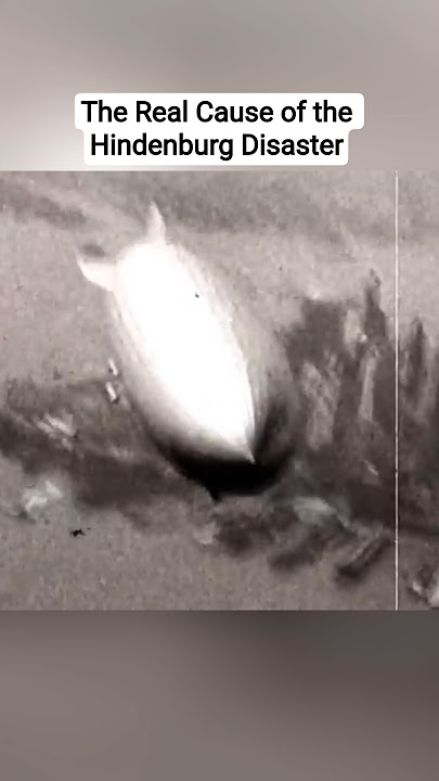 The Real Cause of the Hindenburg Disaster#shorts