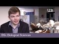 Bsc biological sciences  school of biosciences