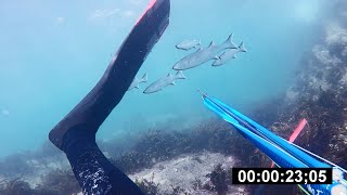 Lockdown Spearfishing - HOLD YOUR BREATH Episode 3