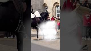 Royal Recovery: A Guards Spectacular Comeback 👑🤸♂️