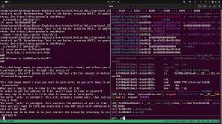 Binary Exploitation - pwn.college - putsception -  [Raw &amp; Silent] [Part 3 END]