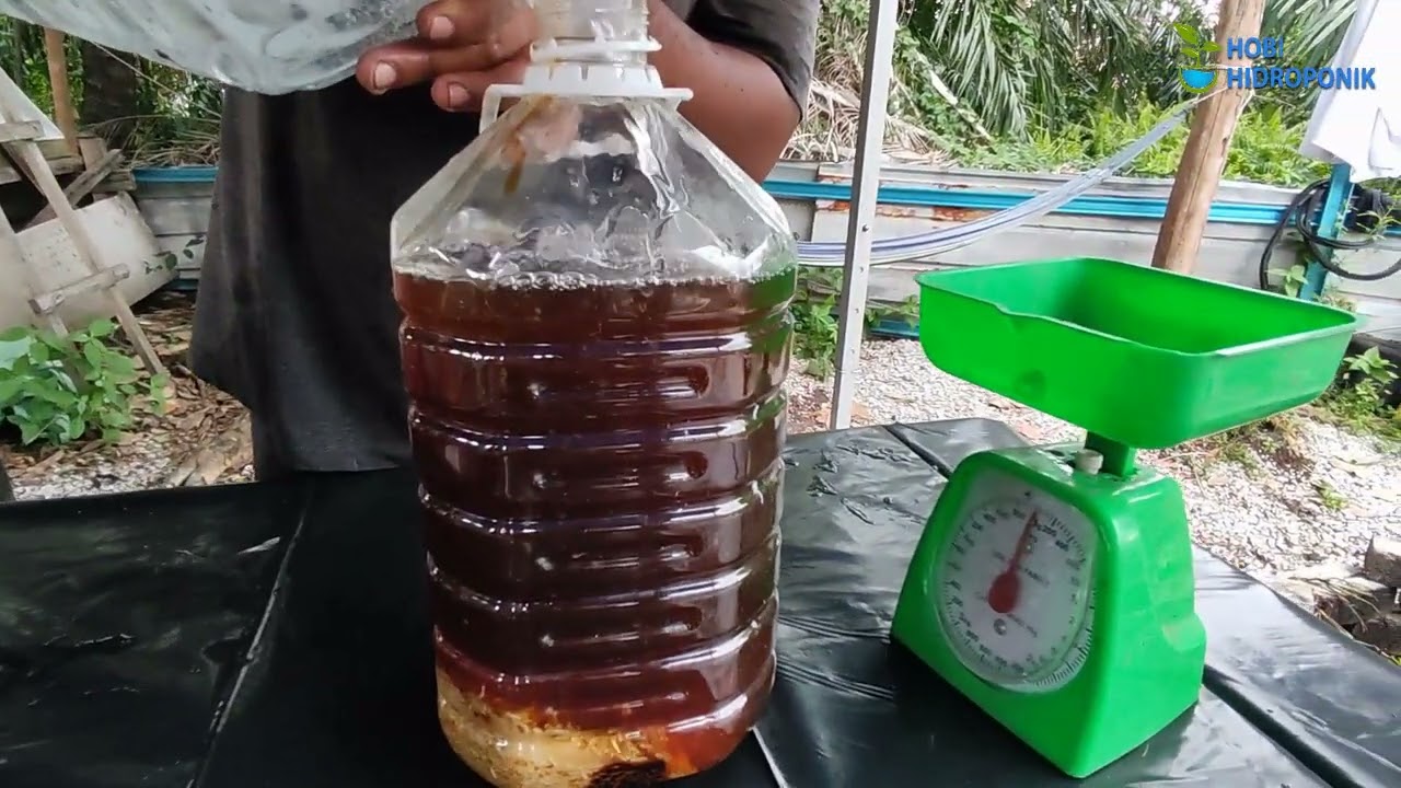 Cara Penyediaan EM (Effective Microorganisms) di rumah - part 1