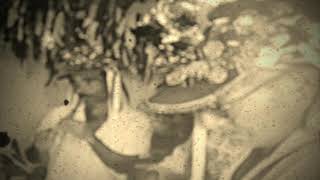 Videos Gravado Em Fita Rolo Em Super 8 16Mm