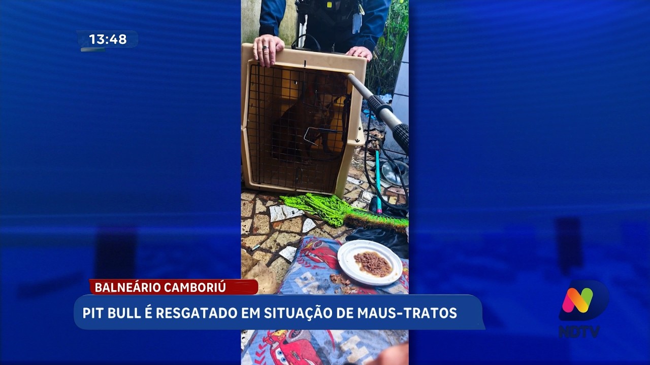 Pit bull é resgatado de maus-tratos em Balneário Camboriú
