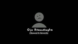 Ojo Dibandingke || Slowed & Reverb