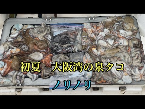 大阪湾タコ釣り
