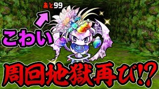 いつの間にか追加されてたダイヤドラゴンフルーツ出るまで木曜ダンジョン周回！【パズドラ】