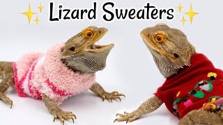 Making Sweaters for my Bearded Dragon!!