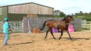 DSCF6107.AVI