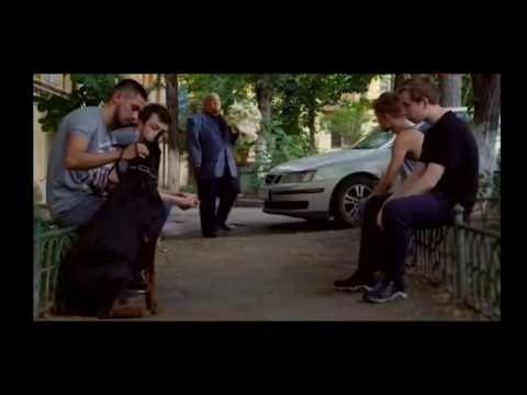 Застрелил собаку