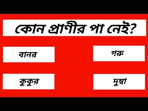 ভিডিও: কোন প্রাণীর খুর নেই?