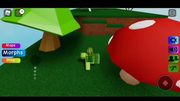 Roblox | Find The Floppa Morphs | Lava Dragon Floppa