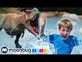 Watch Out for the The HUGE Dinosaur at the Pool! | Jurassic Tv | Dinosaurs and Toys | T Rex Family