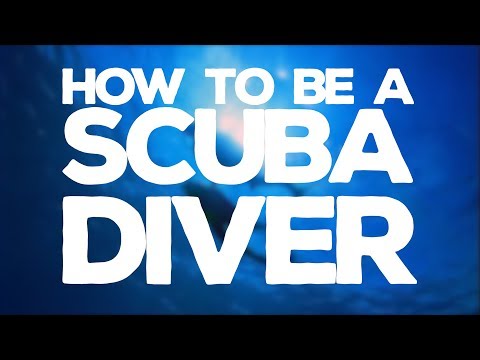 Video: How To Become A Diver