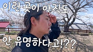 벚꽃 시즌 교토 말고 여기!! 가세요! 후쿠야마 근교 소도시 오노미치 센코지 (미하라에서 후쿠야마 까지 31km!) [자전거로 일본일주 열다섯 번째 이야기]