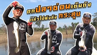 ตกปลาช่อนเต็มถังแล้วไปพังลังกระสูบ