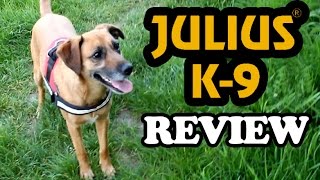 Julius K-9 Hundegeschirr Review