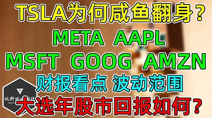 美股 TSLA为何咸鱼翻身？MSFT、GOOG、AMZN、META、AAPL财报看点，波动范围！美国选举年，股市表现如何？ - 天天要闻