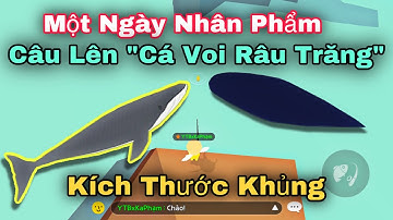 PLAY TOGETHER | Một Ngày Câu Cá Nhân Phẩm Lên Cá Voi Râu Trắng Kích Thước Khủng | Ka Phạm Gaming