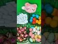 Assorted candies#candy #shortvideo #chocolate #shorts