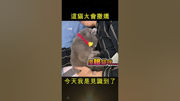 黏在男友懷裡呼呼大睡…我算是看懂這隻貓了😮‍💨