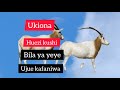 Umefanikiwa Kwake Umefanikiwa Kwake