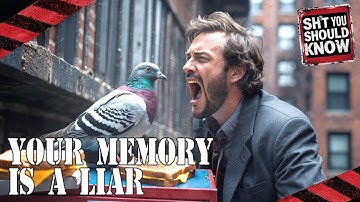 Memory, If It Were a Stoned Intern with a Filing Cabinet