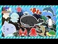 海の生き物何かな?🐙🦀🐠魚で絵合わせ☆子供向け知育動画