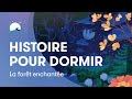 Histoire pour dormir  la fort enchante  sendormir plus vite  bettersleep