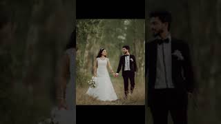 Adding a touch of elegance to your special day. Elley's Craft Wedding Accessory | Weddingsdegoa