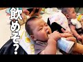 三つ子が液体ミルク(缶)を飲んでみたら…