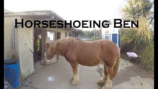 Horseshoeing Ben