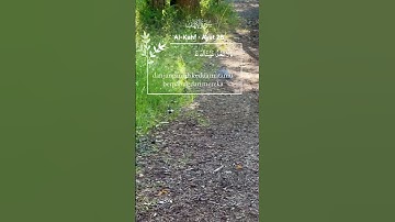 آيات من سورة الكهف 🌺