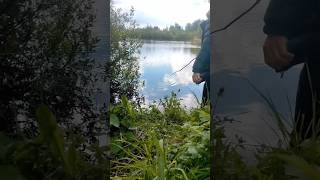 Можно ли что то поймать на самодельную удочку? #весна #рыбалка #fishing #nature #природа #май