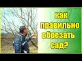 КАК УДВОИТЬ УРОЖАЙ ПОСЛЕ ОБРЕЗКИ / ПРАВИЛЬНАЯ ВЕСЕННЯЯ ОБРЕЗКА САДА УДВОИТ  УРОЖАЙ ФРУКТОВ И ЯГОД