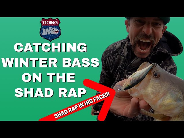 Catching Winter Bass on the SHAD RAP!! 