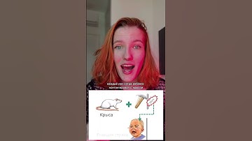 САМЫЙ ЖЕСТОКИЙ ЭКСПЕРИМЕНТ #психология #психолог #эксперименты #саморазвитие #опыт