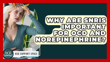Why Are SNRIs Important For OCD And Norepinephrine? - OCD Support Space