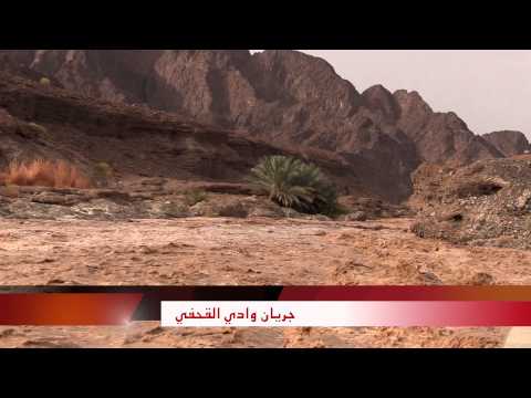 وادي القحفي الجارف السبت ١ اغسطس ٢٠١٥