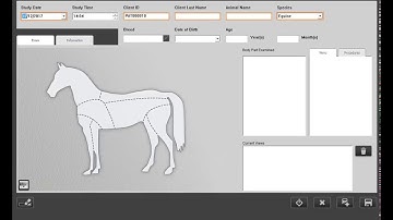 Image Suite Vet Workflow