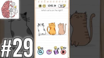 Brain Test Level 29 Which cat is on the right? Gameplay Solution Walkthrough