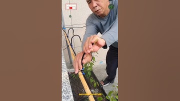 New Bending Fog Irrigation System | New Irrigation Technology #shorts