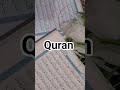 surah maidah Urdu translation 🌿 #shorts #shortsvideo