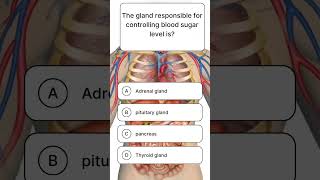 The gland responsible for control blood sugar.#biology  #shortsfeed #trivia #trendingscienceshorts
