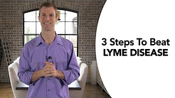 3 Steps to Treat Lyme Disease