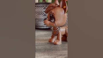 😗✨… #lpscustom #littlestpetshop #custom #dog #toys