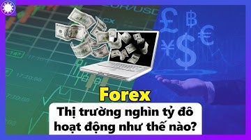 Forex - Thị Trường Nghìn Tỷ Đô Hoạt Động Như Thế Nào?