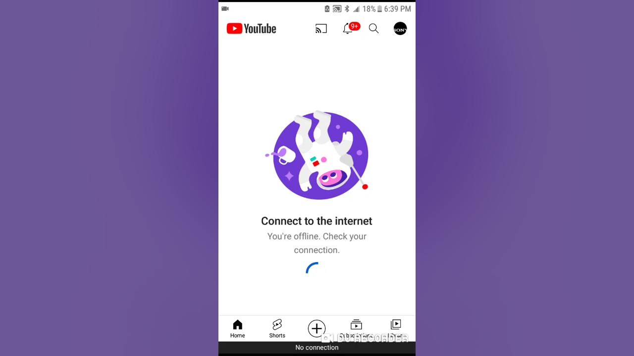 YouTube no internet connection