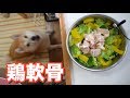 柴犬小春 食欲の秋でReady Go!鶏軟骨はわたしの獲物【ASMR】音フェチ 飯テロ
